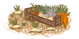 Illustratie van een moestuin